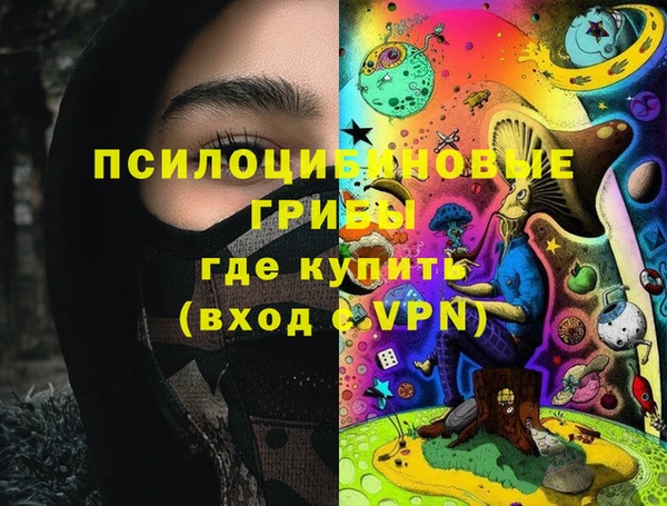 дмт Алексин