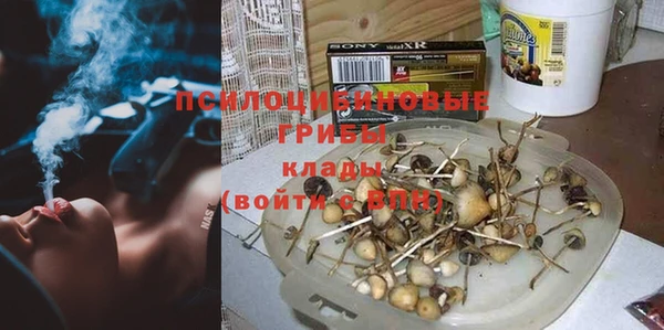 твердый Алзамай