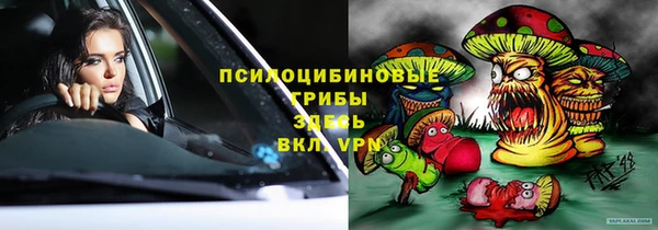 дмт Алексин