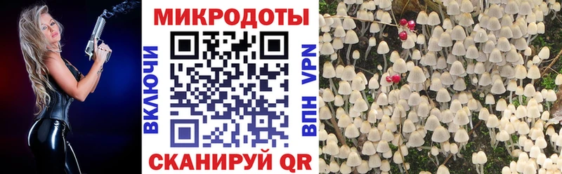 Галлюциногенные грибы прущие грибы  Архангельск 